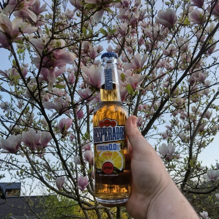 Echte Zitrone im 0,0 Radler oder nur Imitation? – Desperados Virgin Citrus